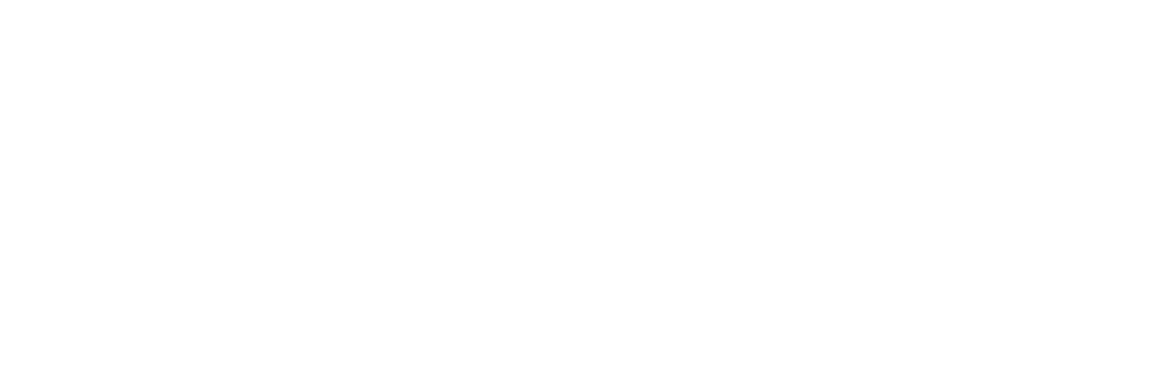 Shipocity-White-Logo